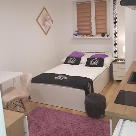 Apartamenty Centrum Panoramiczna Mala Dwojka Swan Labedz Promenada Klimatyzacja Lodowa Kielce Luaran gambar
