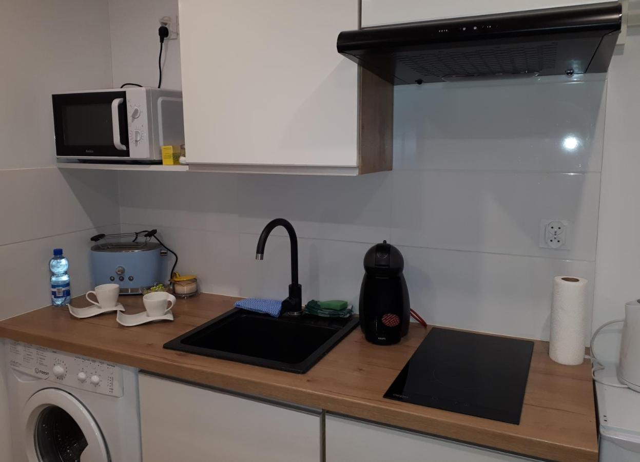 Apartamenty Centrum Panoramiczna Mala Dwojka Swan Labedz Promenada Klimatyzacja Lodowa Kielce Luaran gambar