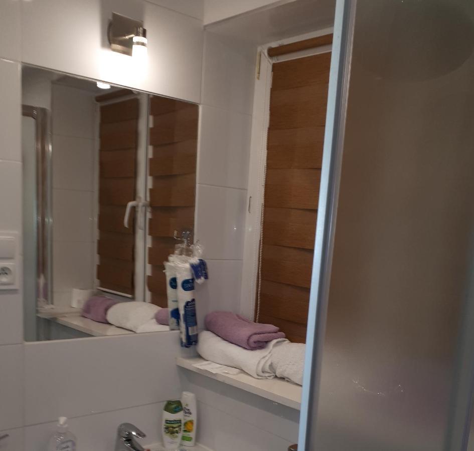 Apartamenty Centrum Panoramiczna Mala Dwojka Swan Labedz Promenada Klimatyzacja Lodowa Kielce Luaran gambar