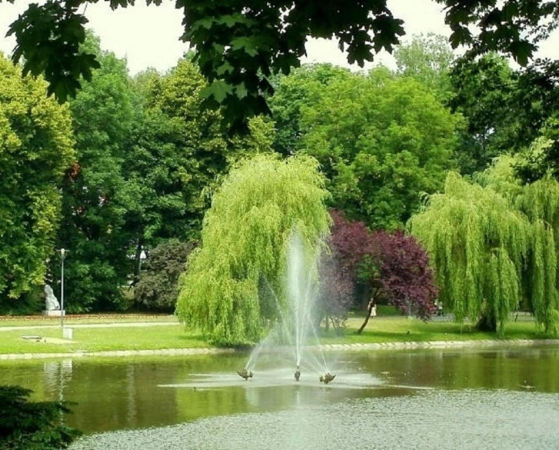 Apartamenty Centrum Panoramiczna Mala Dwojka Swan Labedz Promenada Klimatyzacja Lodowa Kielce Luaran gambar