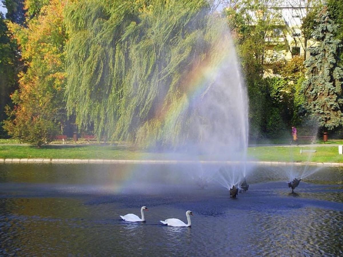 Apartamenty Centrum Panoramiczna Mala Dwojka Swan Labedz Promenada Klimatyzacja Lodowa Kielce Luaran gambar