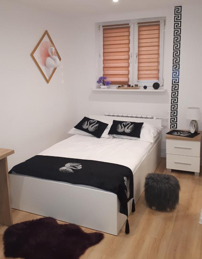 Apartamenty Centrum Panoramiczna Mala Dwojka Swan Labedz Promenada Klimatyzacja Lodowa Kielce Luaran gambar