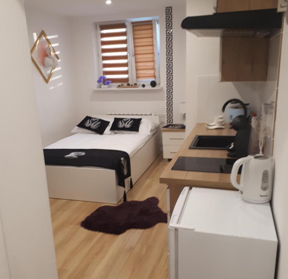 Apartamenty Centrum Panoramiczna Mala Dwojka Swan Labedz Promenada Klimatyzacja Lodowa Kielce Luaran gambar