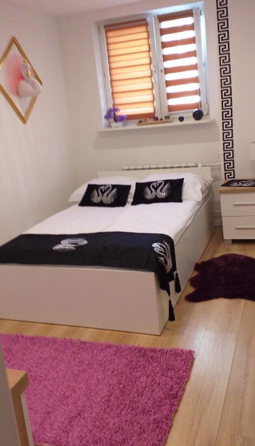 Apartamenty Centrum Panoramiczna Mala Dwojka Swan Labedz Promenada Klimatyzacja Lodowa Kielce Luaran gambar