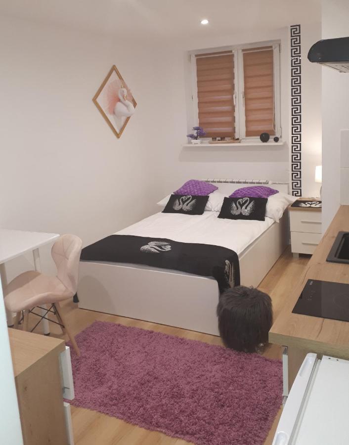 Apartamenty Centrum Panoramiczna Mala Dwojka Swan Labedz Promenada Klimatyzacja Lodowa Kielce Luaran gambar
