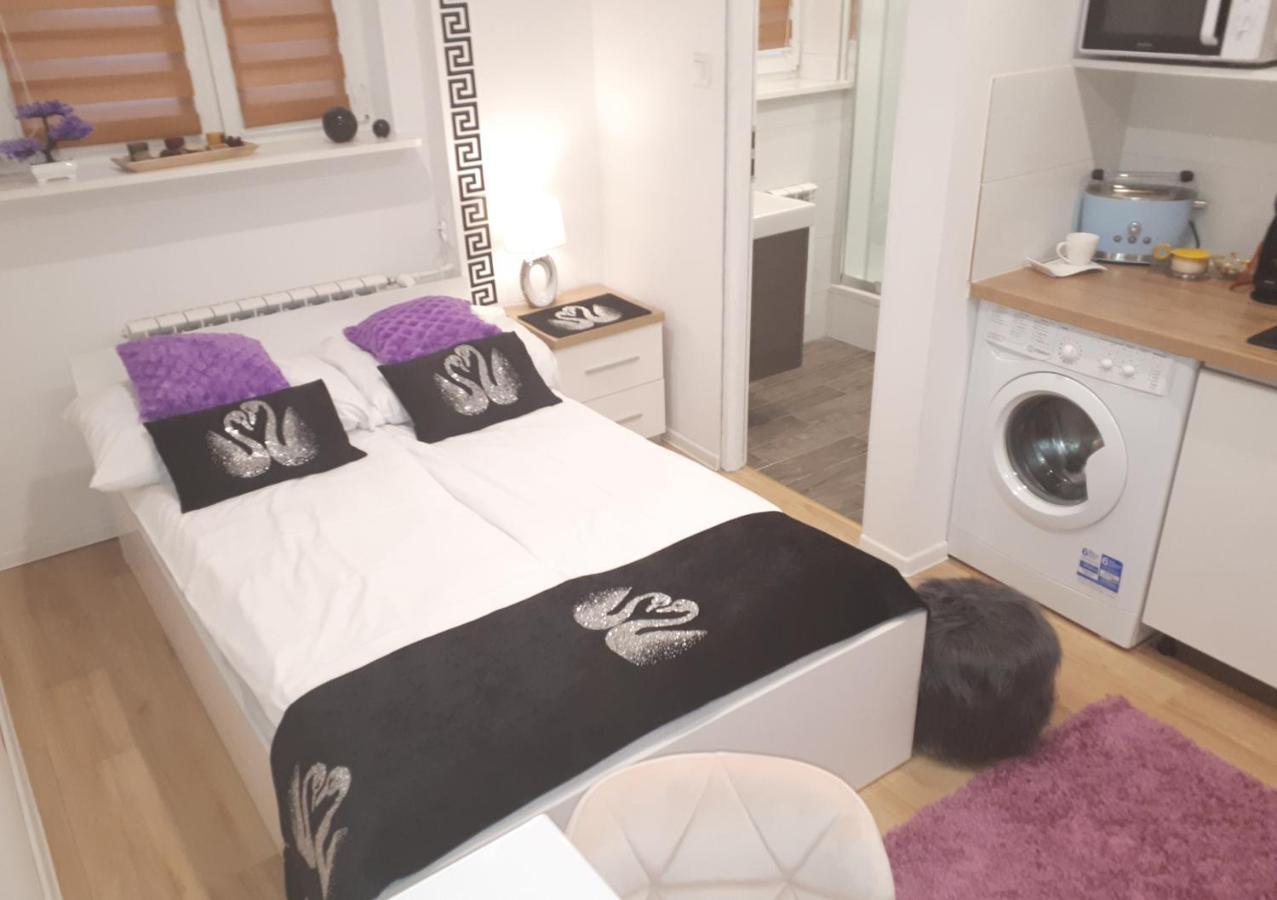Apartamenty Centrum Panoramiczna Mala Dwojka Swan Labedz Promenada Klimatyzacja Lodowa Kielce Luaran gambar