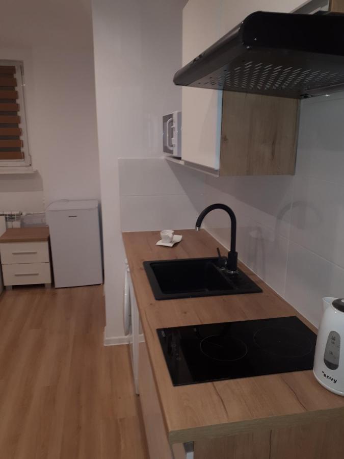 Apartamenty Centrum Panoramiczna Mala Dwojka Swan Labedz Promenada Klimatyzacja Lodowa Kielce Luaran gambar